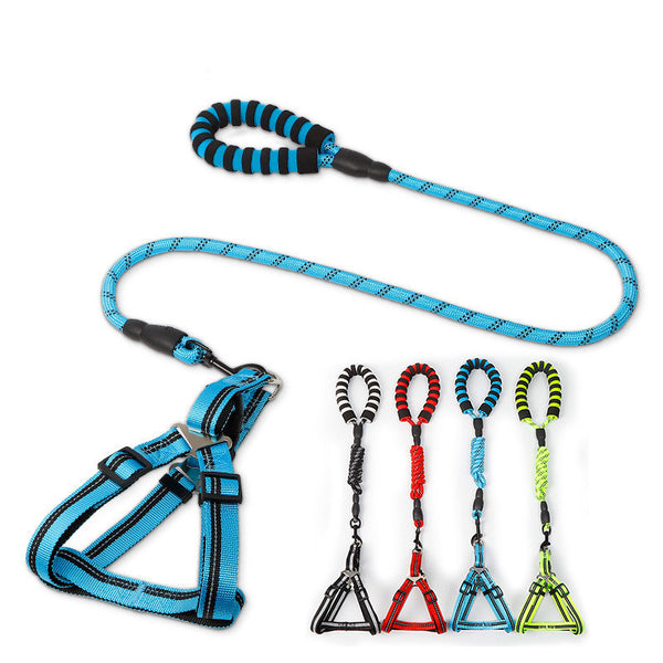 Vibrant Nylon Chest Harness &amp; Leash Set