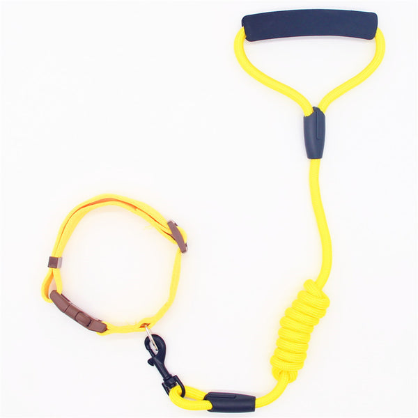 Durable Nylon Leash with Collar Combo