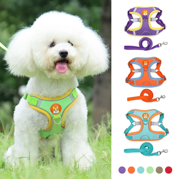 Adjustable Reflective No-Pull Vest with Leash